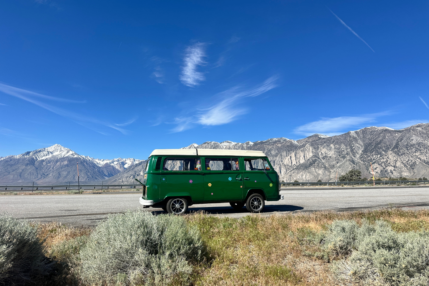 buster-vw-westfalia-bus-mountain-pine-trees